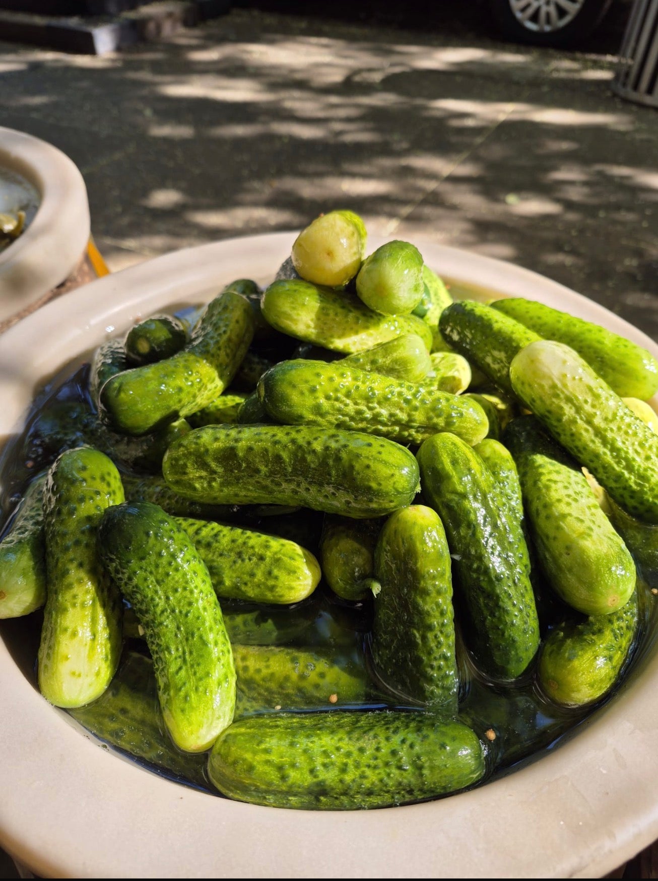 Green pickles in a bowl on a stone surface with shadows cast by trees.